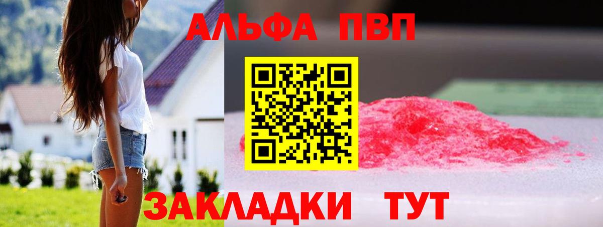 Alfa_PVP СК Воронеж