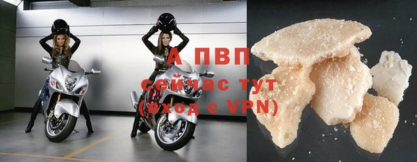 индика Березники
