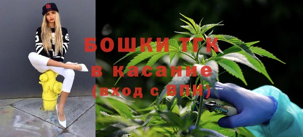 шишки Михайлов