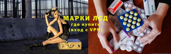 шишки Михайлов