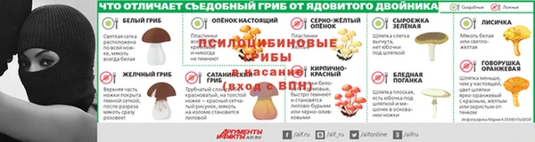 прущие грибы Михайловск