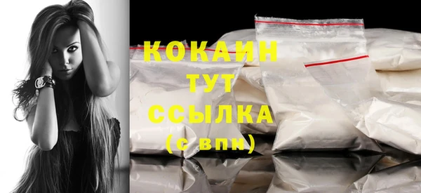 прущие грибы Михайловск