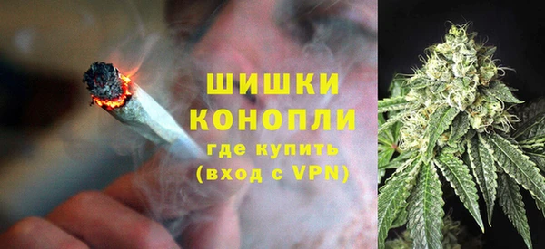 шишки Михайлов