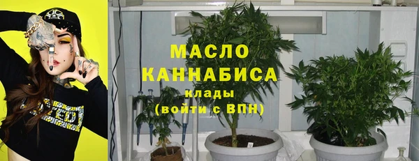 прущие грибы Михайловск
