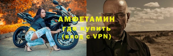 индика Березники