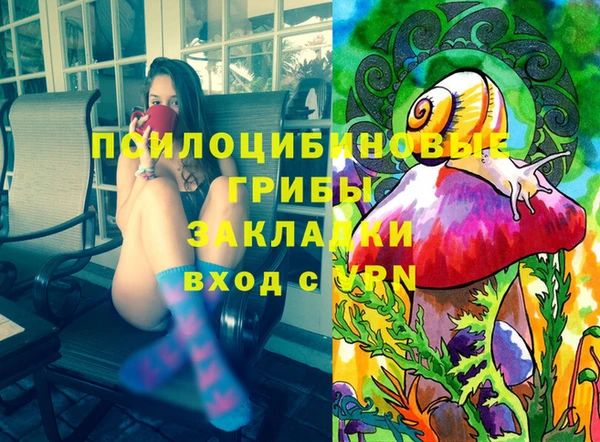 прущие грибы Михайловск