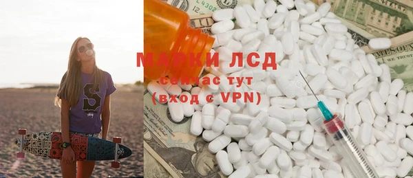 прущие грибы Михайловск