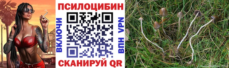 Галлюциногенные грибы ЛСД  Воронеж 